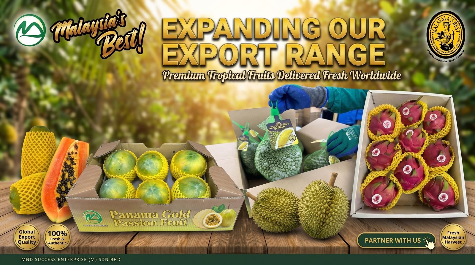 MND Success Malaysian fruit export portfolio